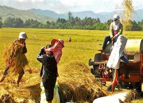 kinantot ng magsasaka|Tumirik ang mga mata nung umpisa ko na syang iyotin .